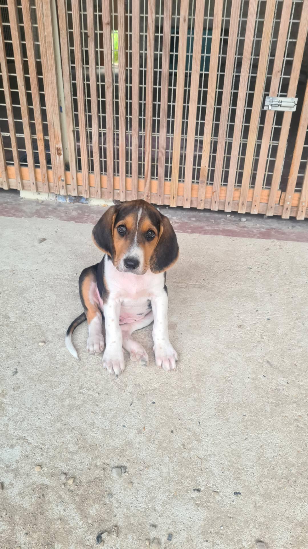 Resized 20240923 180059