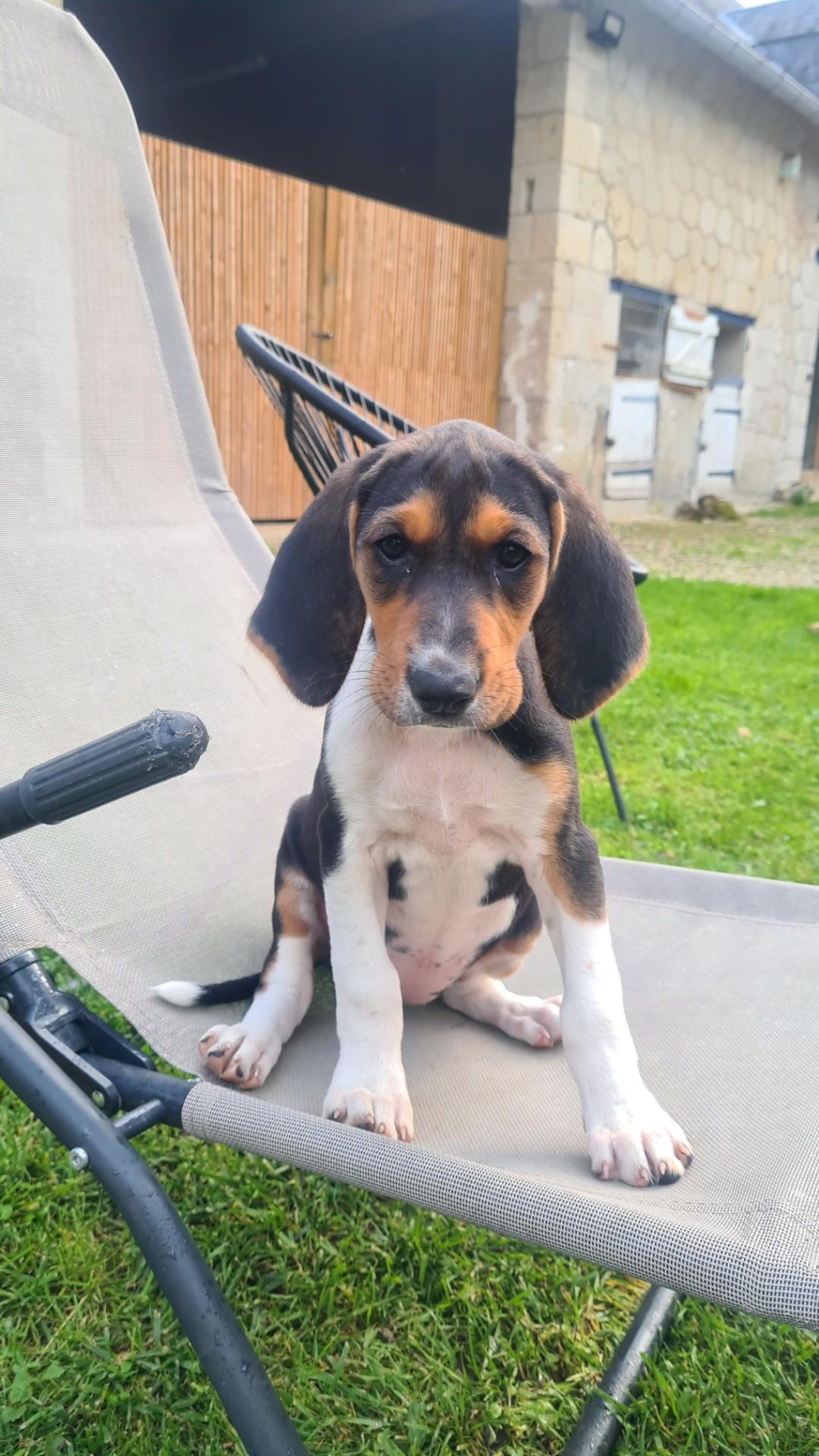 Resized 20240923 180647