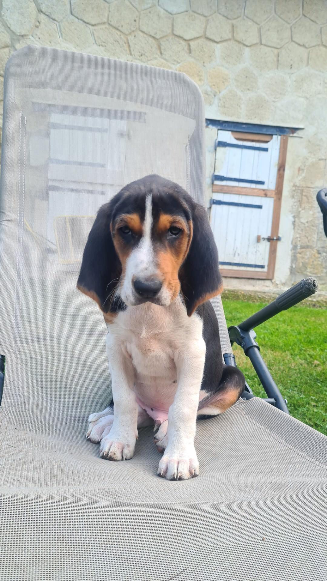 Resized 20240923 181125