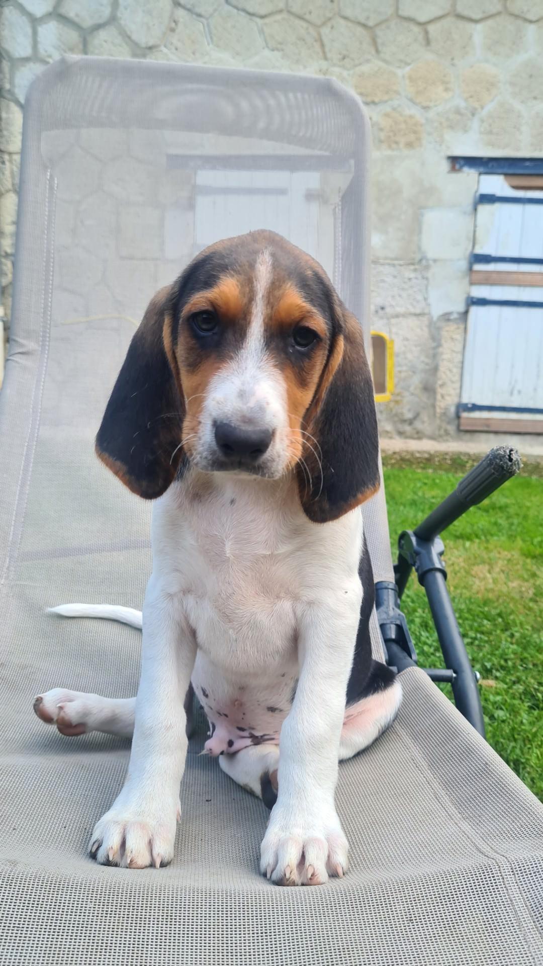 Resized 20240923 181345