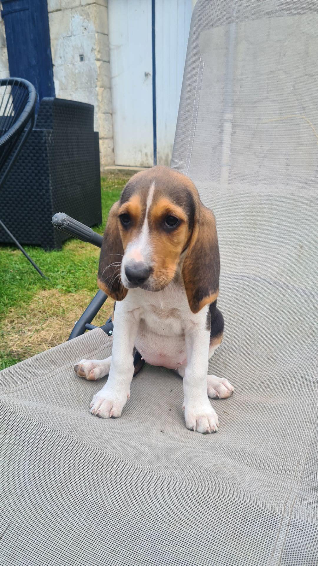 Resized 20240923 181935 0