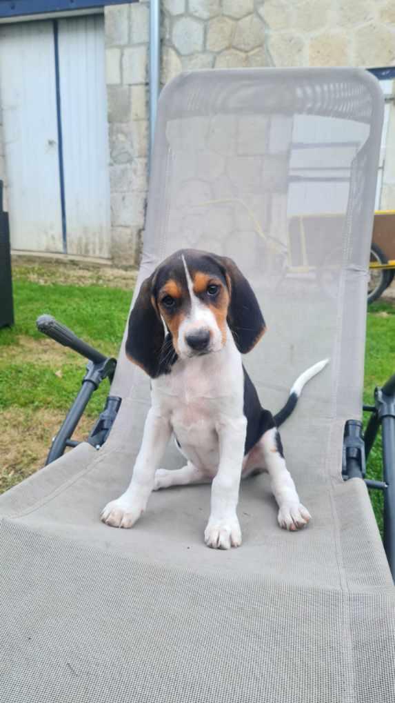 Resized 20240923 182655 2