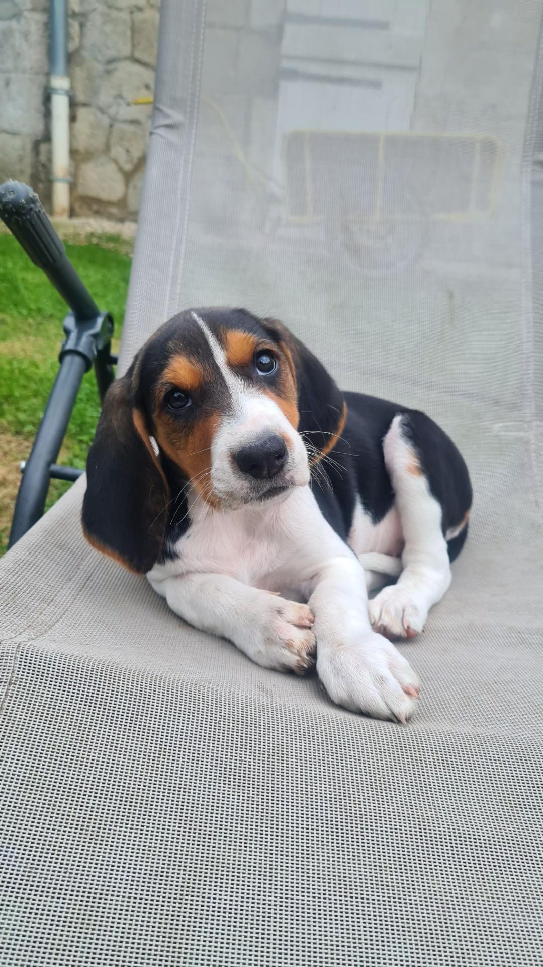 Resized 20240923 182821